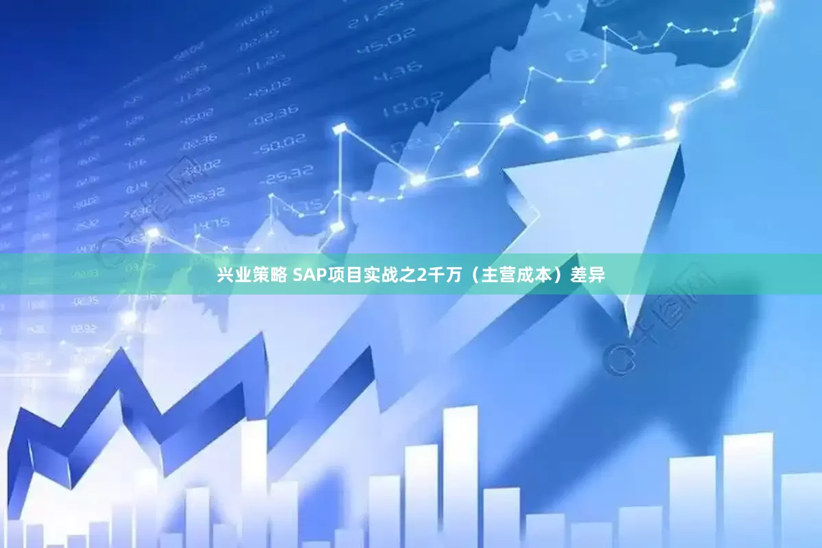 兴业策略 SAP项目实战之2千万（主营成本）差异
