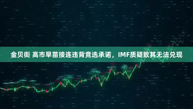 金贝街 高市早苗接连违背竞选承诺，IMF质疑致其无法兑现