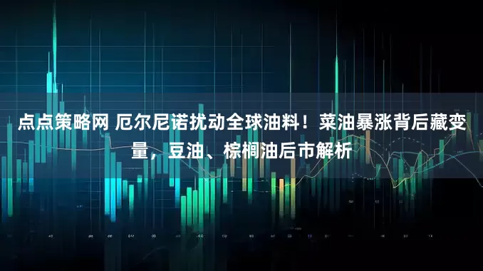 点点策略网 厄尔尼诺扰动全球油料！菜油暴涨背后藏变量，豆油、棕榈油后市解析