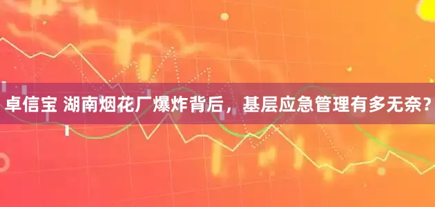 卓信宝 湖南烟花厂爆炸背后，基层应急管理有多无奈？