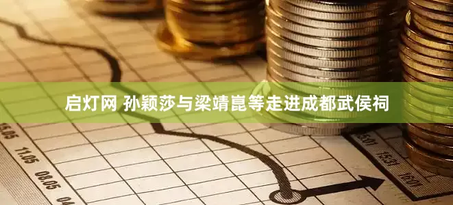 启灯网 孙颖莎与梁靖崑等走进成都武侯祠